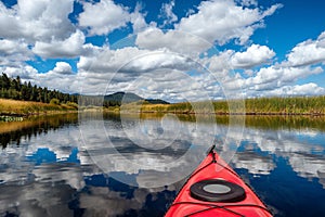 Kayaking through wetlands and forest in Oregon