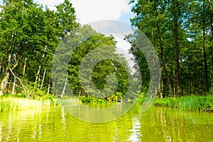 Kayaking by wild river in poland (Omulew river)