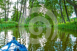 Kayaking by wild river in poland (Omulew river)