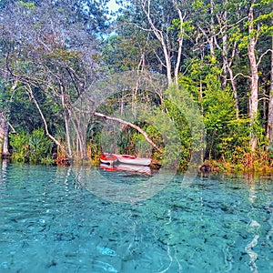Kayaks in a blue spring in Florida