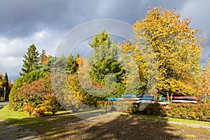 Kayaks docked on Lake Lovering shore seen among colourful trees during a fall golden hour afternoon