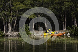 Kayaks in the Great Outdoors