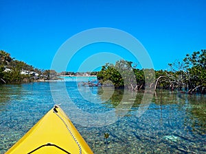 Kayaks and Mangroves