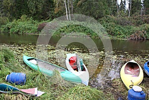 Kayaks parked at the Bank of the forest river