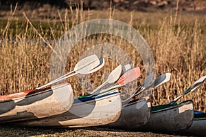 Kayaks ready to go