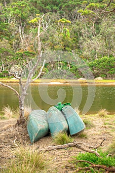 Kayaks on the shore of an Australian river