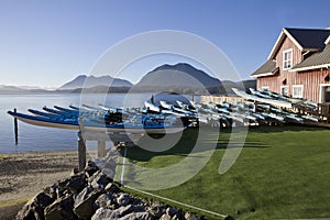 Kayaks to rent at Tofino, BC photo