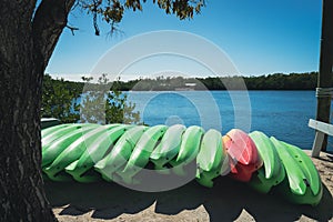 Kayaks on the water at John Pennekamp state park in the Florida Keys photo