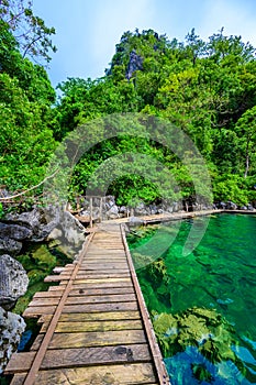 Kayangan Lake - Blue crystal water in paradise lagoon - walkway on wooden pier in tropical scenery - Coron island, Palawan,