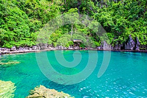 Kayangan Lake - Blue crystal water in paradise lagoon - walkway on wooden pier in tropical scenery - Coron island, Palawan,