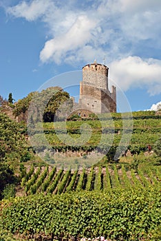 Kaysersberg castle photo