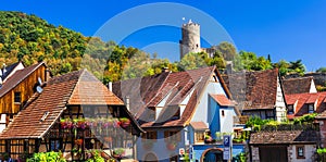 Kaysersberg - one of the most beautiful villages of France, Alsace region famous vine route photo