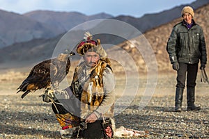 Kazakh Eagle Hunter Berkutchi with horse while hunting to the hare with a golden eagles on his arms