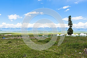 Kazakh yurt camp in Meadow of Xinjiang, China