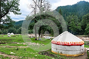 Kazakh yurt camp in Meadow of Xinjiang, China