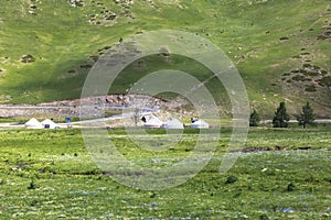 Kazakh yurt camp in Meadow of Xinjiang, China