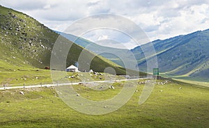 Kazakh yurt camp in Meadow of Xinjiang, China