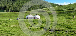 Kazakh yurt camp in Meadow of Xinjiang, China