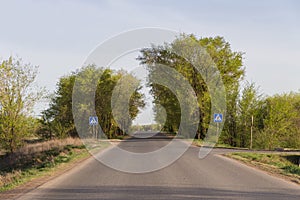 Kazakhstan roads. Road among trees. Pedestrian crossing signs on a road where there are almost no people.