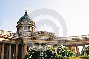 Kazan cathedral in St Petersburg spring blossom white flowers blue sky sunlight high contrast
