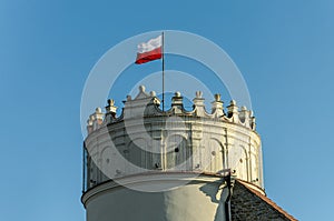 Kazimierzowski Castle in Przemysl in Poland photo