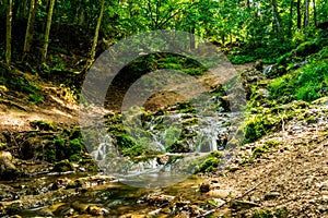 Kazu Grava waterfall in the middle of a beautiful green and lush forest illuminated by the sunlight in Latvia photo