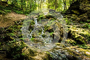 Kazu Grava waterfall in the middle of a beautiful green and lush forest illuminated by the sunlight in Latvia photo