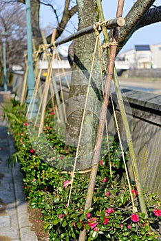 Kazue-machi Chaya District in Kanazawa, Japan