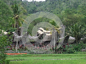 Ke'te Kesu village Tana Toraja in Sulawesi