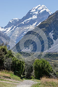 Kea Point Track