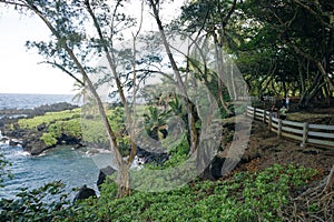 Keanae Lookout in maui, hawaii