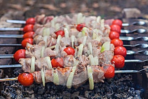 The kebab is cooked on the grill. Juicy meat on charcoal