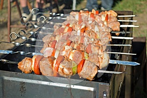 Kebabs threaded on skewers roasted on the grill