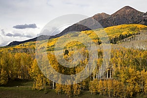 Kebler Pass Autumn