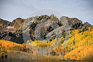 Kebler Pass - Autumn Scenery in the Rocky Mountains of Colorado.