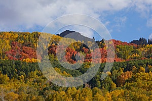 Kebler pass Colorado fall on the pass