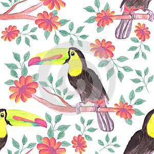 Keel billed Toucan bird or Ramphastidae sulfuratus bird seamless watercolor birds and flowers background