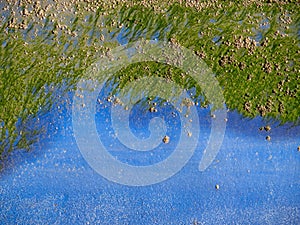 Keel of boat with barnacles and algae. Beautiful closeup.