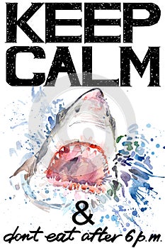 Keep Calm. Shark watercolorr illustration.