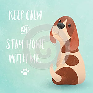 Keep calm and stay home with me, Cute beagle dog looking back and begging for attention.
