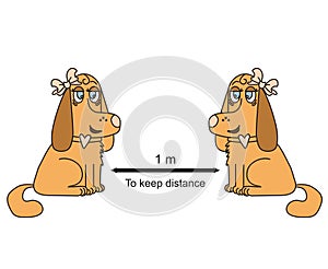 Keep a distance of 1 meter. Vector illustration Keep a remote sign with brown dogs with bows. She and she.