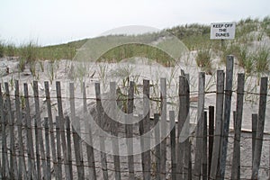 Keep Off the Dunes