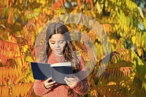 Keep studying. Small girl read book on autumn day. Small child enjoy reading autumn foliage background. Little child