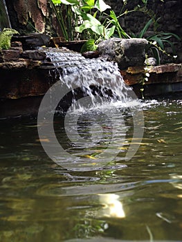 keep swimming with the current