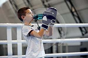 Keep water balance. Little boy, beginner boxer in sport uniform drinking water after workout at sports gym. Concept of