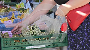 Kehl, Germany - April 12, 2024: Fresh vegetables and fruits at a local farmer's market. Buyers pick spring green