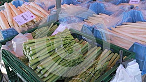 Kehl, Germany - April 12, 2024: Green and white fresh spring asparagus on a farmer's market counter in spring
