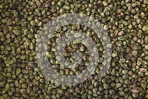 KeKik Or Thyme Rubbed - Oregano