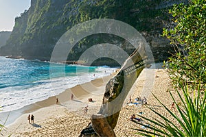 Kelingking Beach in Nusa Penida island, Bali in Indonesia. photo