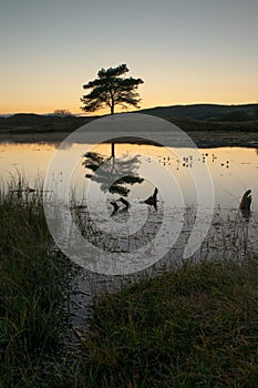 Kelly Hall Tarn is a pool in Cumbria, England, to the west of Coniston Water. It is located about one km south-south-east of the v